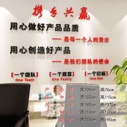 菲尼kaiyun官方网站克斯官网中国(菲尼克斯招聘官网)